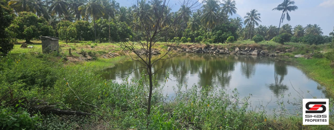 Farmland for sale in Chamanapathy, Palakkad