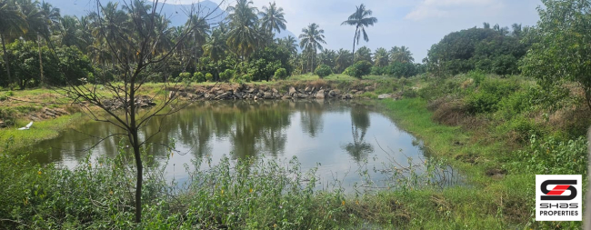 Farmland for sale in Chamanapathy, Palakkad