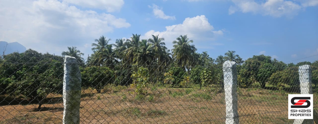 Farmland for sale in Chamanapathy, Palakkad