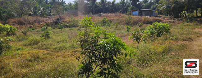 Farmland for sale in Kozhinjampara, Palakkad