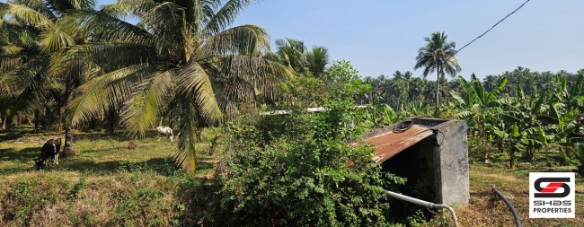 Farmland for sale in Kozhinjampara, Palakkad