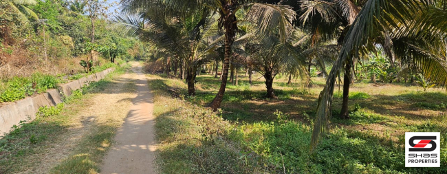 Farmland for sale in Kozhinjampara, Palakkad