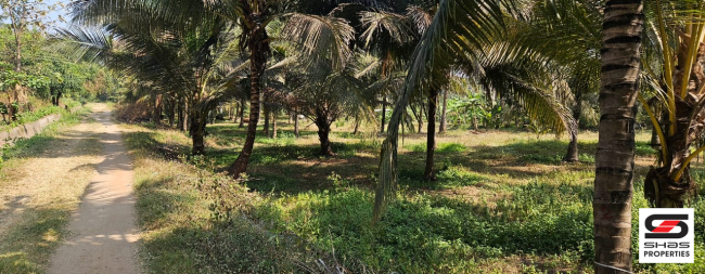 Farmland for sale in Kozhinjampara, Palakkad