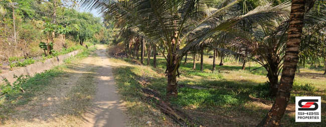 Farmland for sale in Kozhinjampara, Palakkad