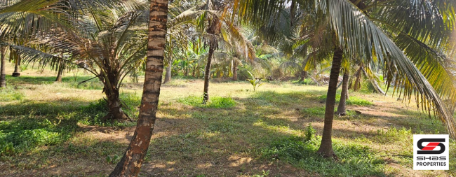 Farmland for sale in Kozhinjampara, Palakkad