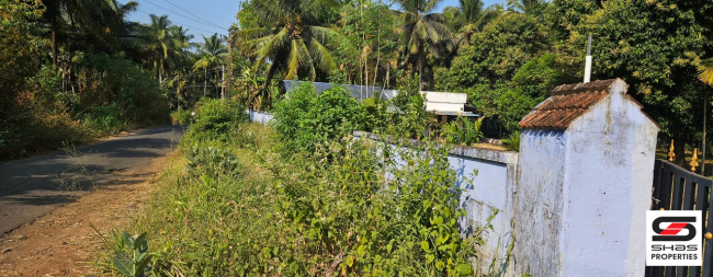 Farmland in Kozhinjampara, Palakkad for sale