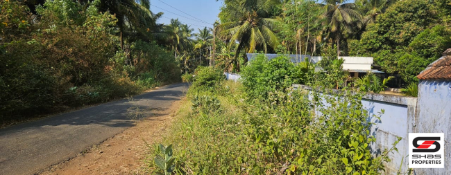 Farmland in Kozhinjampara, Palakkad for sale