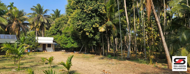 Farmland in Kozhinjampara, Palakkad for sale