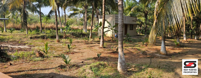 Farmland with house for sale in Kozhinjampara, Palakkad