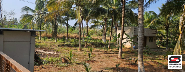 Farmland with house for sale in Kozhinjampara, Palakkad