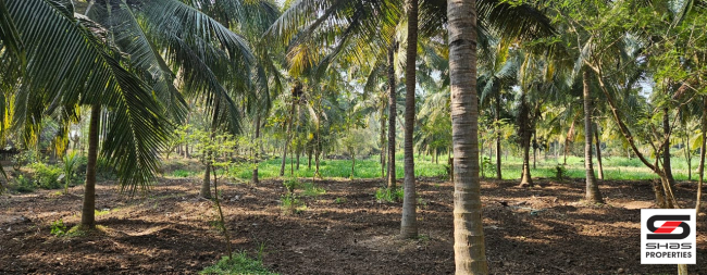 2.5 Acre farmland for sale in Kozhinjampara, Palakkad