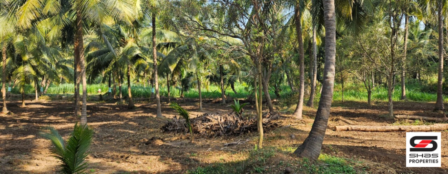 2.5 Acre farmland for sale in Kozhinjampara, Palakkad