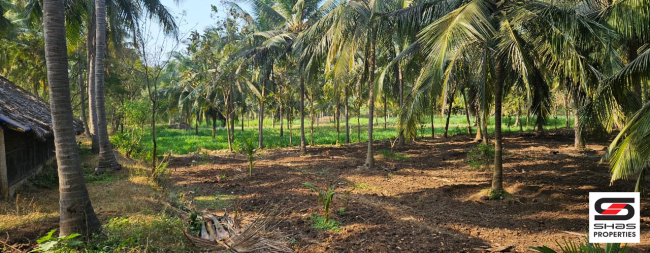 2.5 Acre farmland for sale in Kozhinjampara, Palakkad