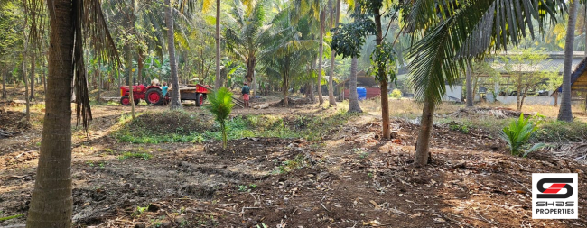 2.5 Acre farmland for sale in Kozhinjampara, Palakkad