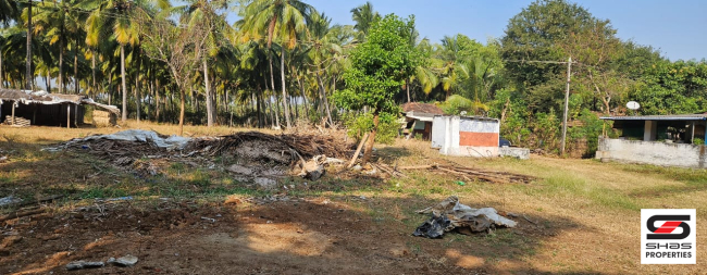 Farmland for sale in Kozhinjampara, Palakkad