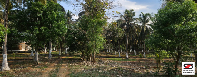 Farmland with house for sale in Kozhinjampara, Palakkad