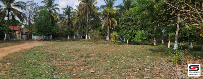 Farmland with house for sale in Kozhinjampara, Palakkad