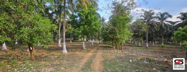 Farmland with house for sale in Kozhinjampara, Palakkad