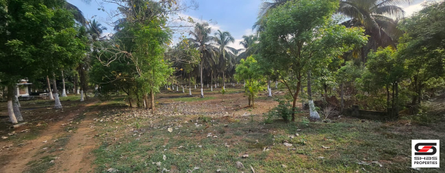 Farmland with house for sale in Kozhinjampara, Palakkad