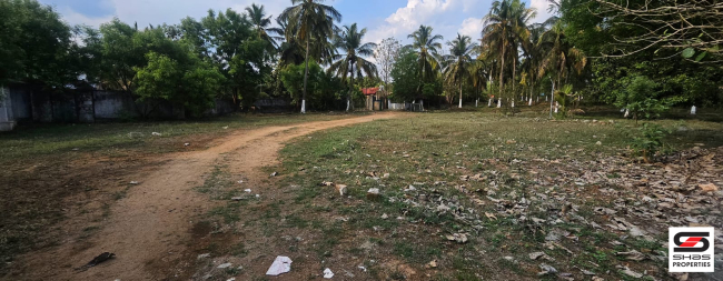 Farmland with house for sale in Kozhinjampara, Palakkad