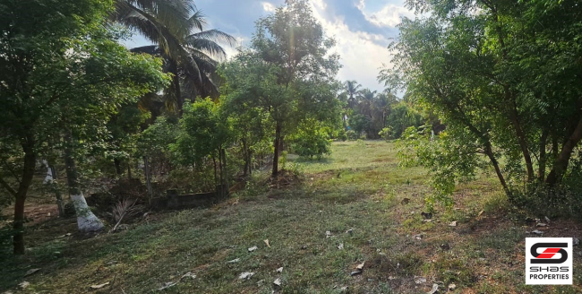 Farmland with house for sale in Kozhinjampara, Palakkad