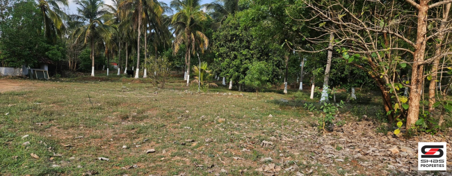 Farmland with house for sale in Kozhinjampara, Palakkad