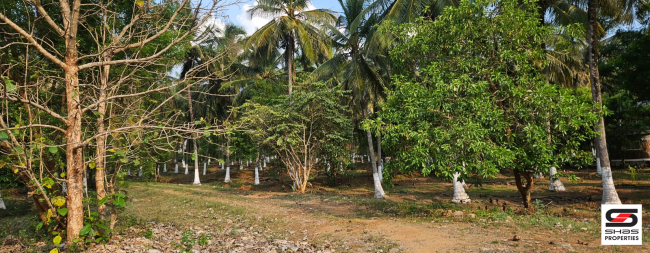 Farmland with house for sale in Kozhinjampara, Palakkad