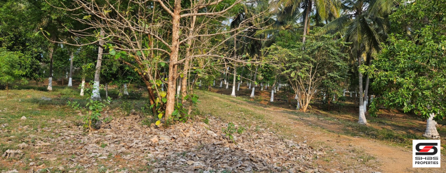 Farmland with house for sale in Kozhinjampara, Palakkad