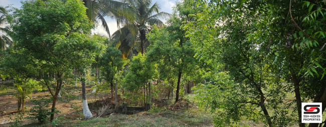 Farmland with house for sale in Kozhinjampara, Palakkad