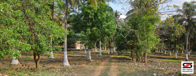 Farmland with house for sale in Kozhinjampara, Palakkad