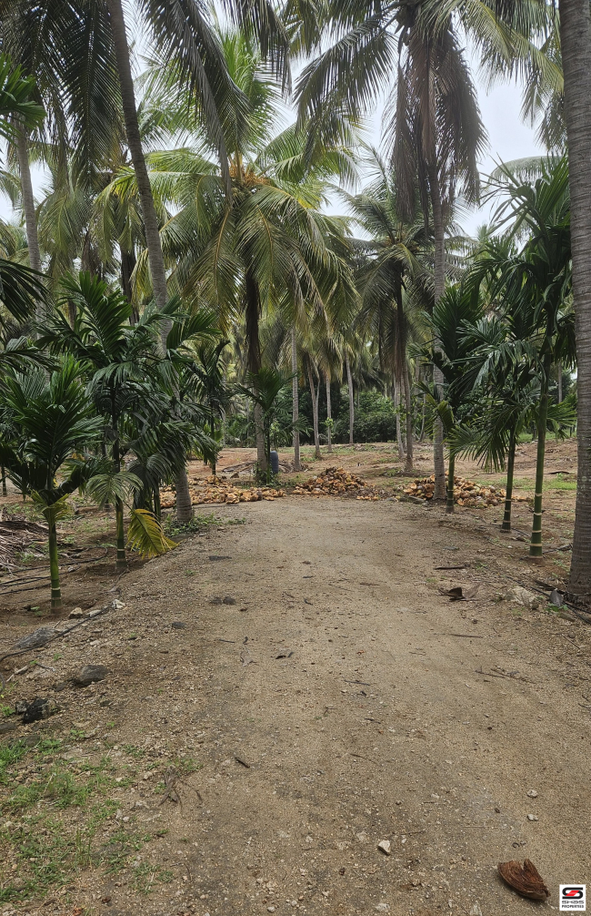 Farmland for sale in Nadupuni, Coimbatore