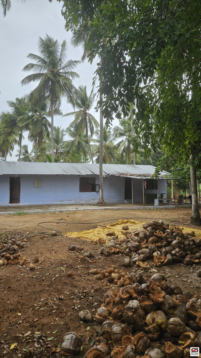 Farmland for sale in Nadupuni, Coimbatore