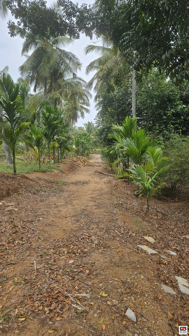 Farmland for sale in Nadupuni, Coimbatore