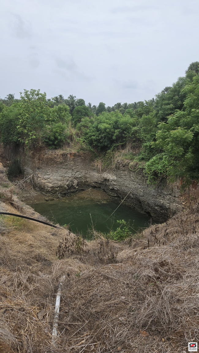 Farmland for sale in Nadupuni, Coimbatore