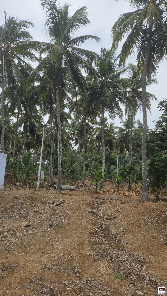 Farmland for sale in Nadupuni, Coimbatore