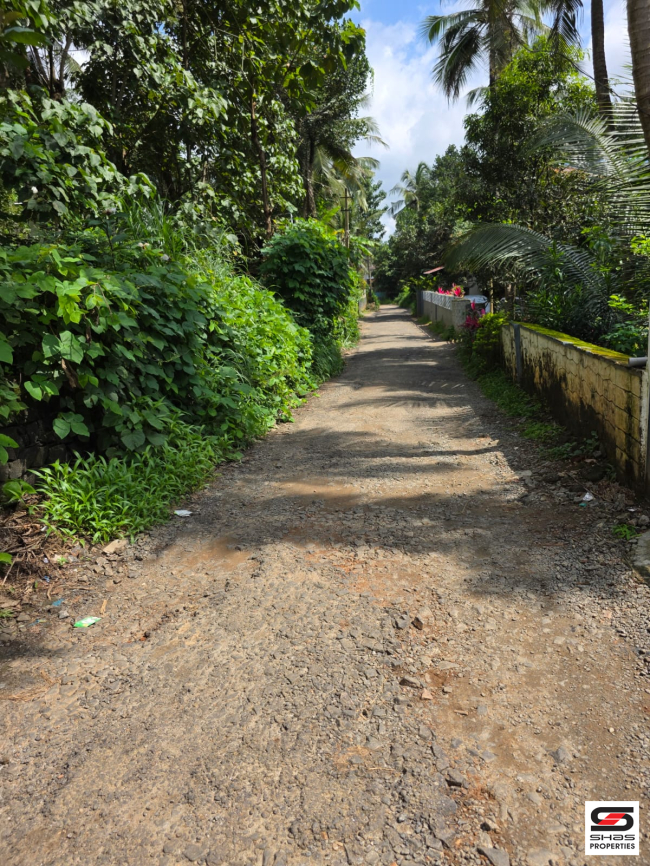 Farmland for sale near Pattambi, Palakkad