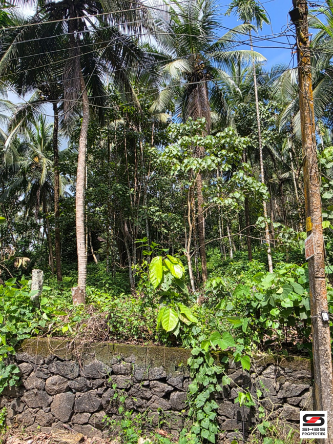 Farmland for sale near Pattambi, Palakkad