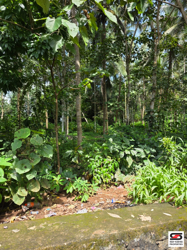 Farmland for sale near Pattambi, Palakkad