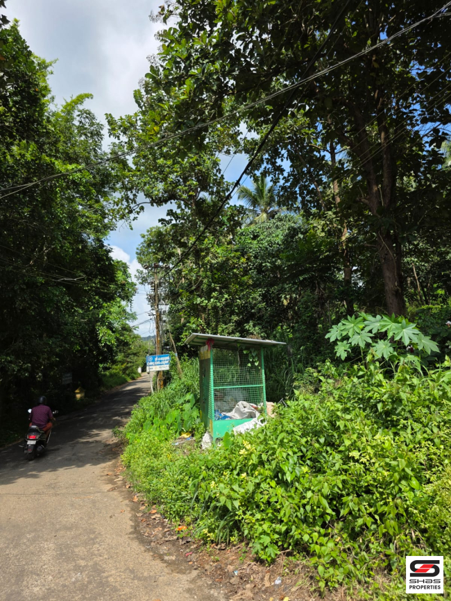 Farmland for sale near Pattambi, Palakkad