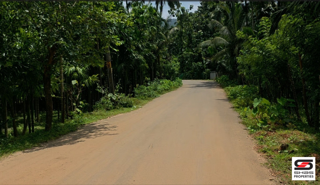 Farmland for sale in Malampuzha, Palakkad