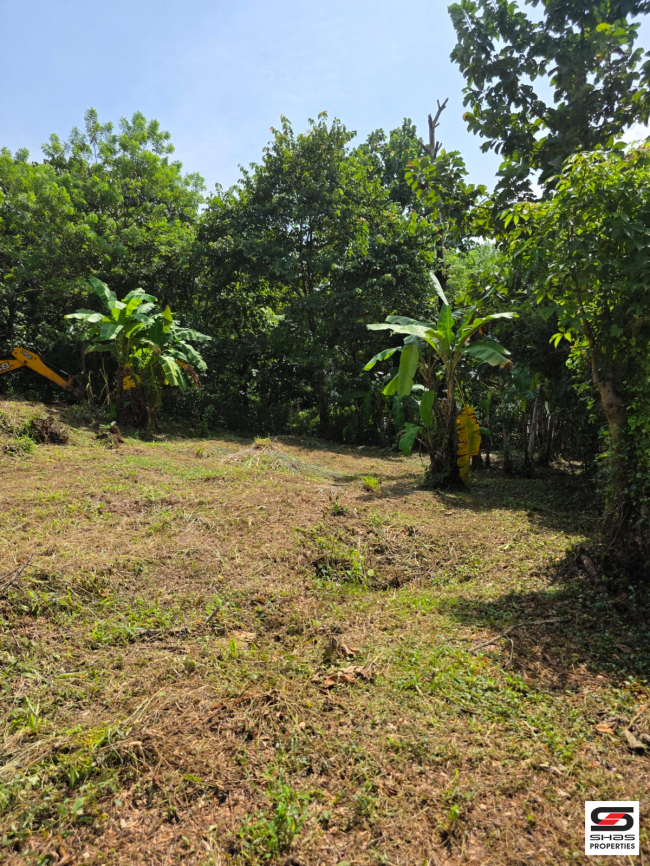 Land for sale near Poomala, Thrissur