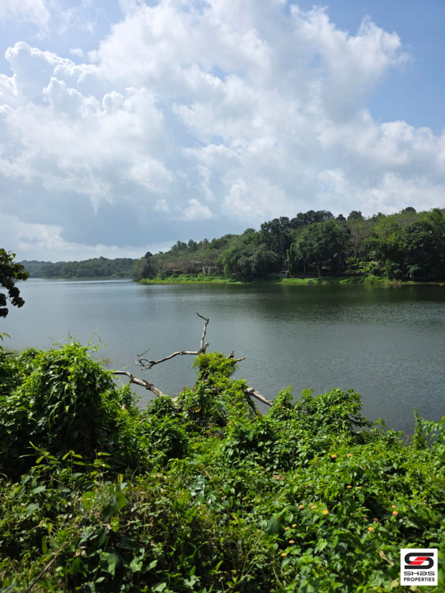 Land for sale near Poomala, Thrissur