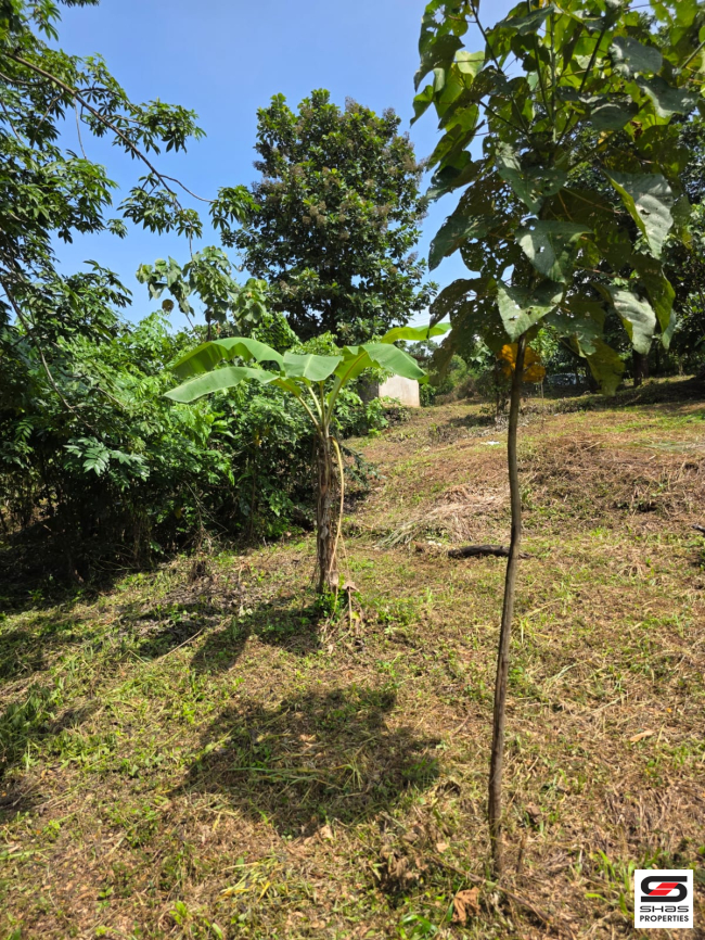 Land for sale near Poomala, Thrissur