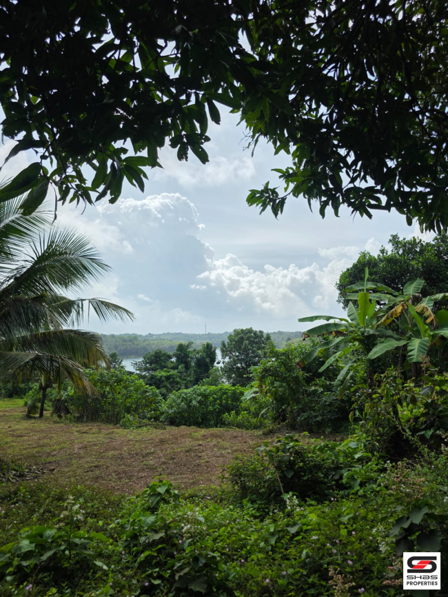Land for sale near Poomala, Thrissur