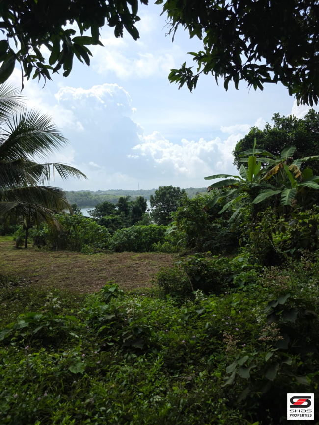 Land for sale near Poomala, Thrissur