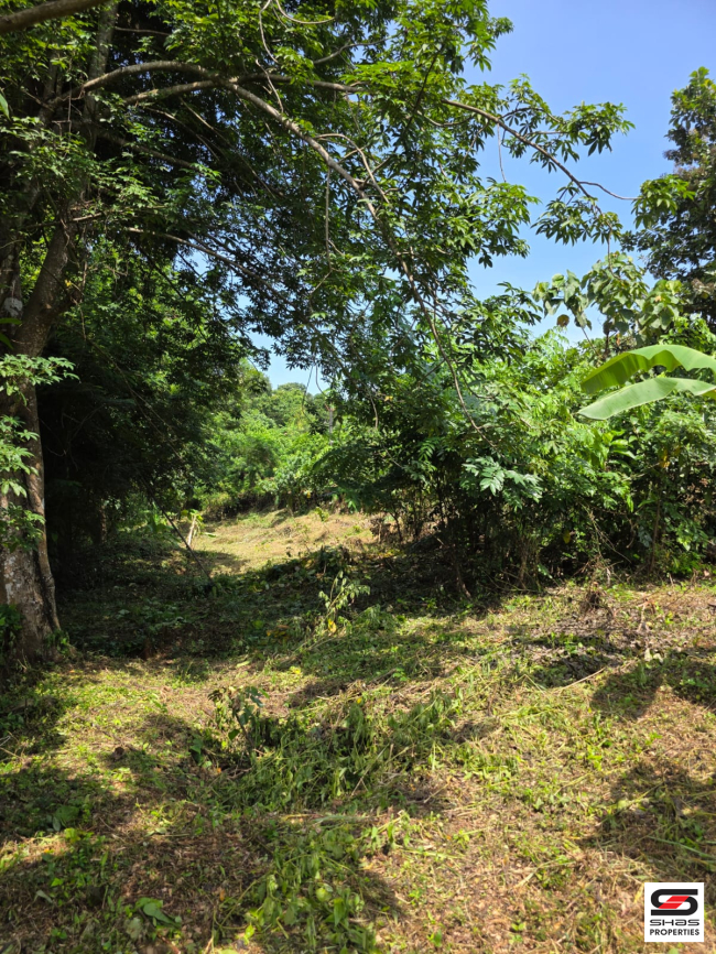Land for sale near Poomala, Thrissur