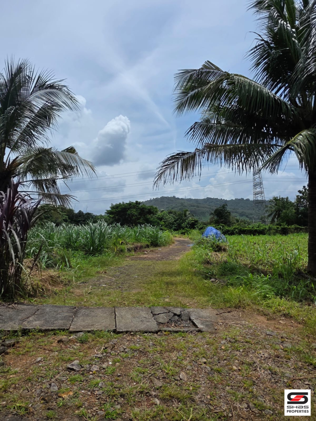 Land for sale near Thanikkudam, Thrissur