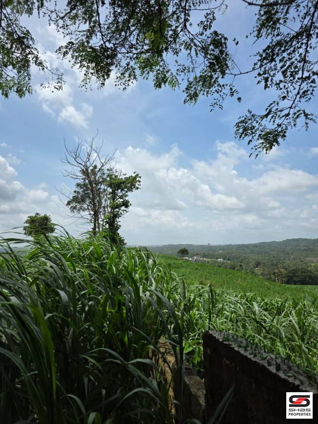 Land for sale near Thanikkudam, Thrissur