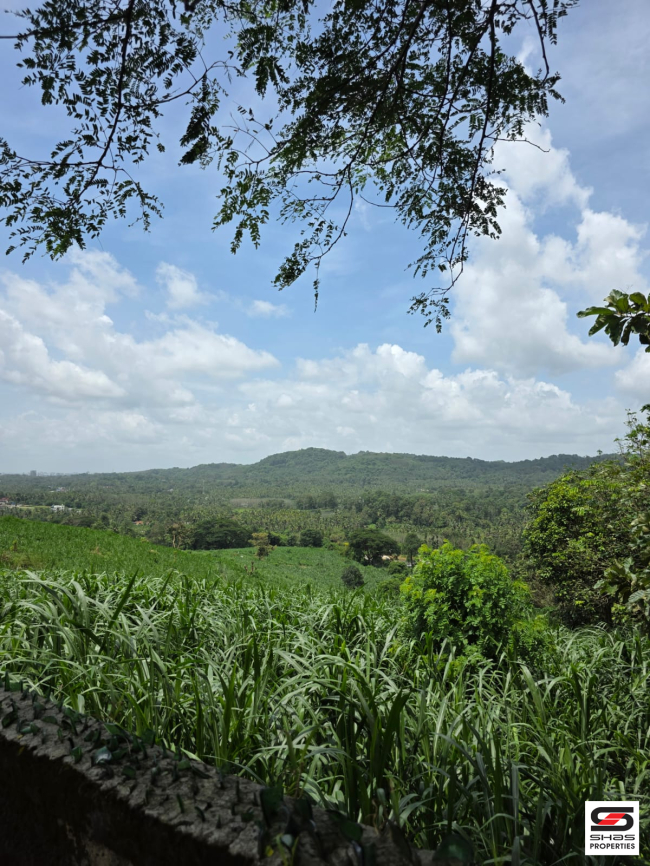 Land for sale near Thanikkudam, Thrissur