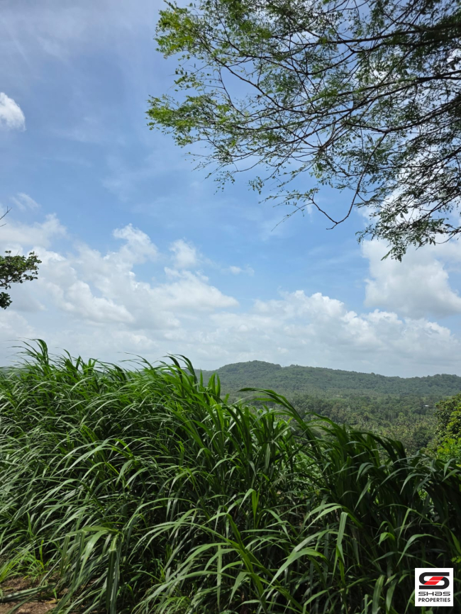 Land for sale near Thanikkudam, Thrissur